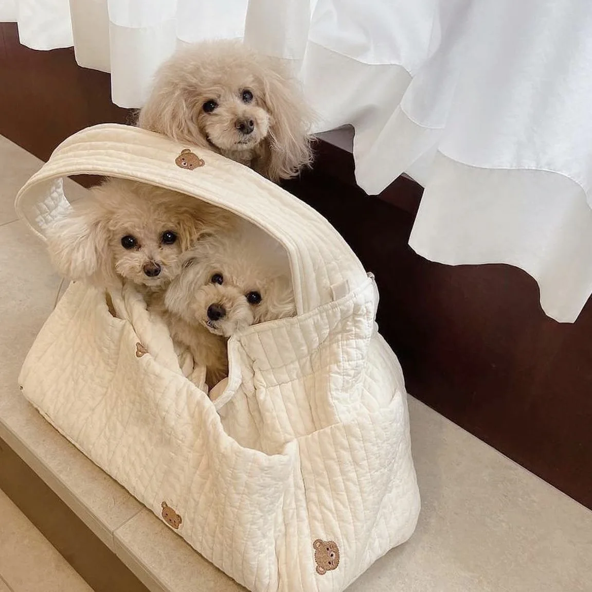 INS Cute Bear Pet Outing Crossbody Shoulder Bag Large Capacity Breathable Cat Puppy Bichon Teddy Dog Bag Cat Bags Dog Supplies