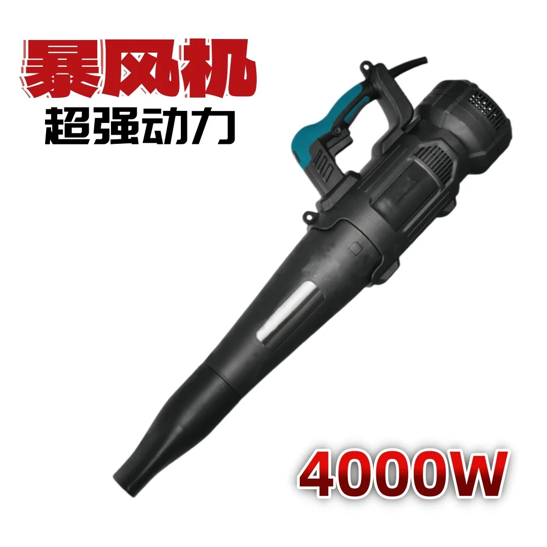 슈퍼 파워 블로워 스톰 헤어 드라이어 110V/220V 헤어 드라이어