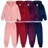 New Arrivals Spring Little Girls Golden Velvet Tracksuit 2 Pcs Set Boys Clothes Zipper Coat+Pants Hoodies Outfits Suit 9M-13Y