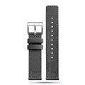 Gray steel buckle