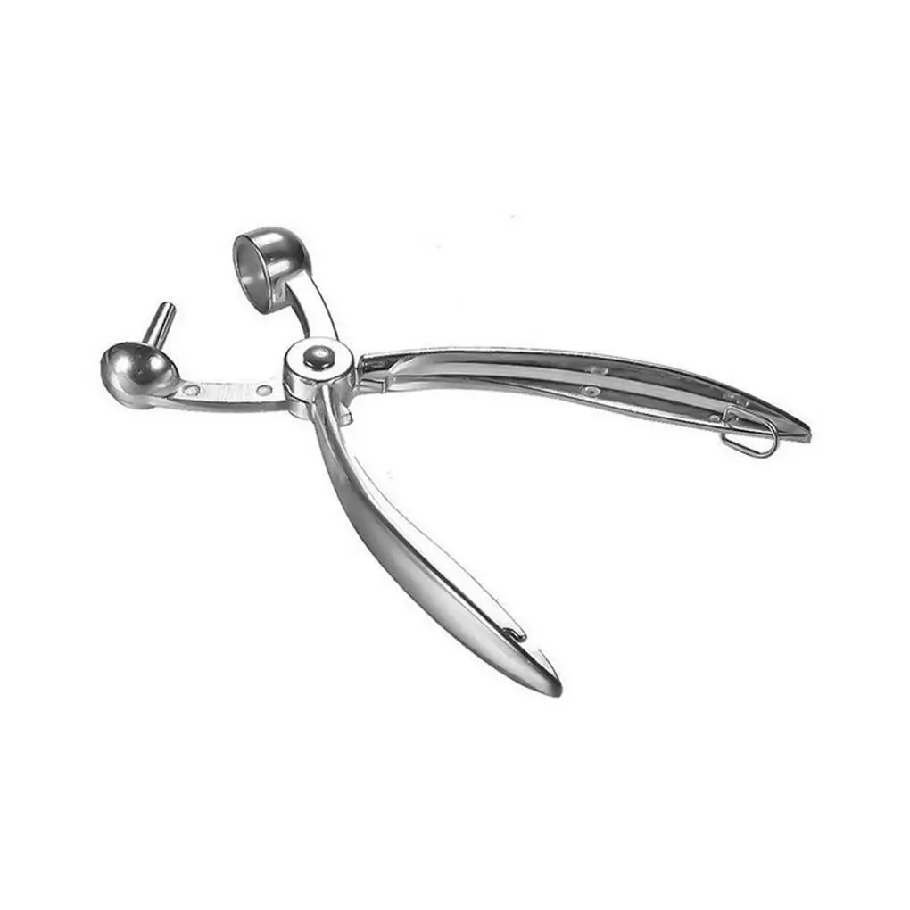 Fruit Pit Remover Cherry Pitter Jujube Olive Corer Kitchen Gadget