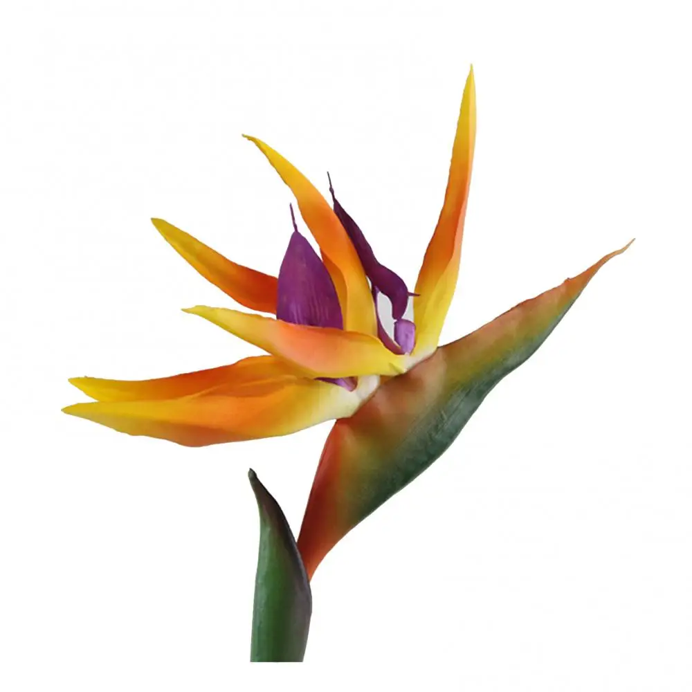 Fiore Artificiale Uccello Del Paradiso Pianta Finta Seta Strelitzia Reginae Decorazioni Per La Casa Di Nozze