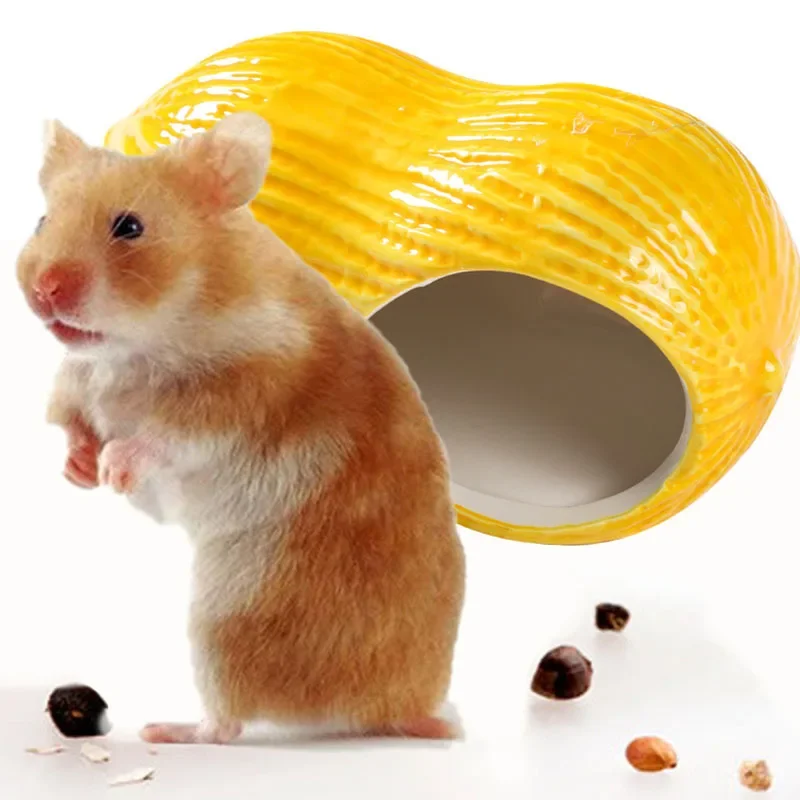Creative Shape Nuts Peanuts Adorable Ceramic Hamster Cage: Small