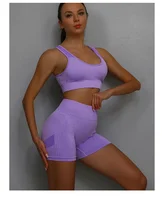 Women's Seamless Yoga Set Hollow Back Bra and Shorts
