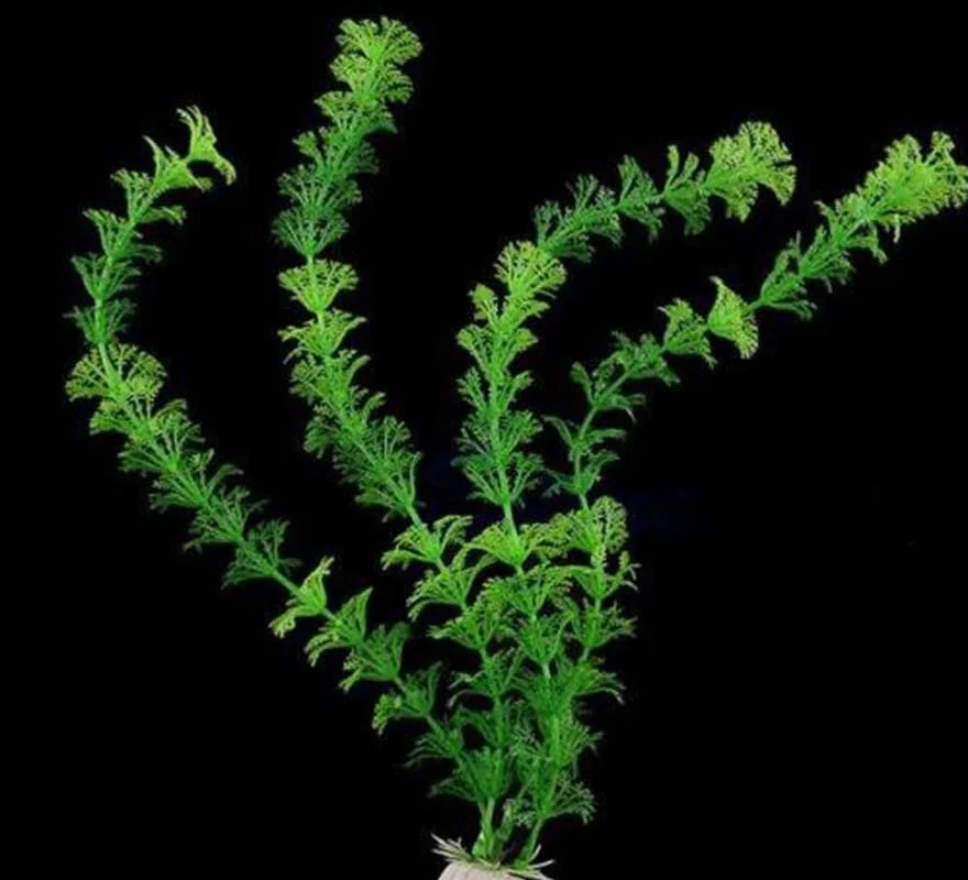 Balık Tankı Simülasyon Bitki Akvaryum Yapay Dekorasyon Plastik Akvaryum Balık Kase Su Yabani Otlar Bitki Yapay Yeşil Çim