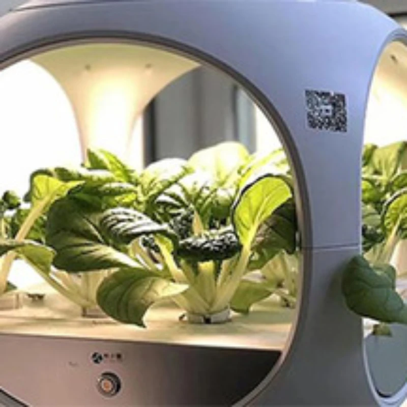 

Hydroponic Growing Water system for lettuce hydroponic vertical growing system