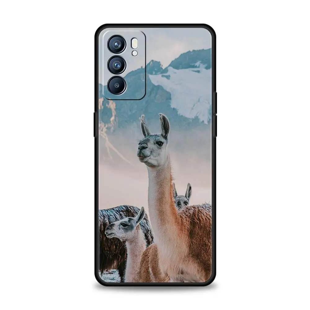 Kawaii Alpaca Lovely Phone Case Cover