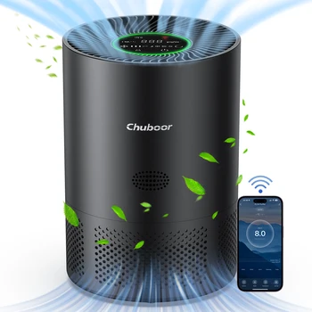 H13 Air Purifier for Home 1