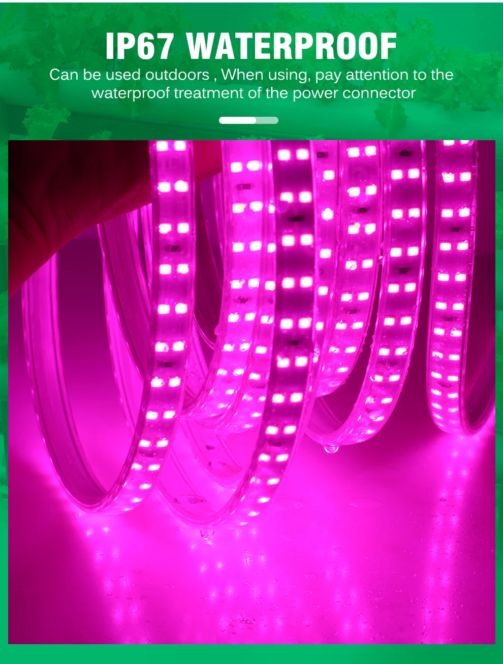 Description Picture 6 of itemLED Plant Growth Light With Full Spectrum Dual Row LED Beads Waterproof IP67 Plant Flower Greenhouse Hydroponic Growth Light