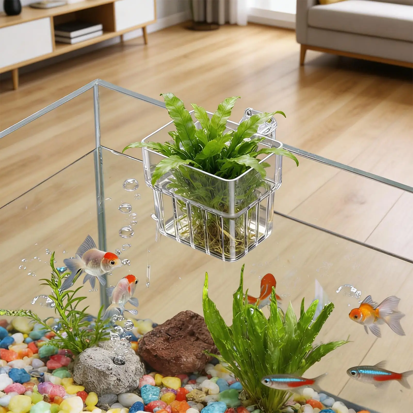Transparent Hangable Aquarium Plant Holder