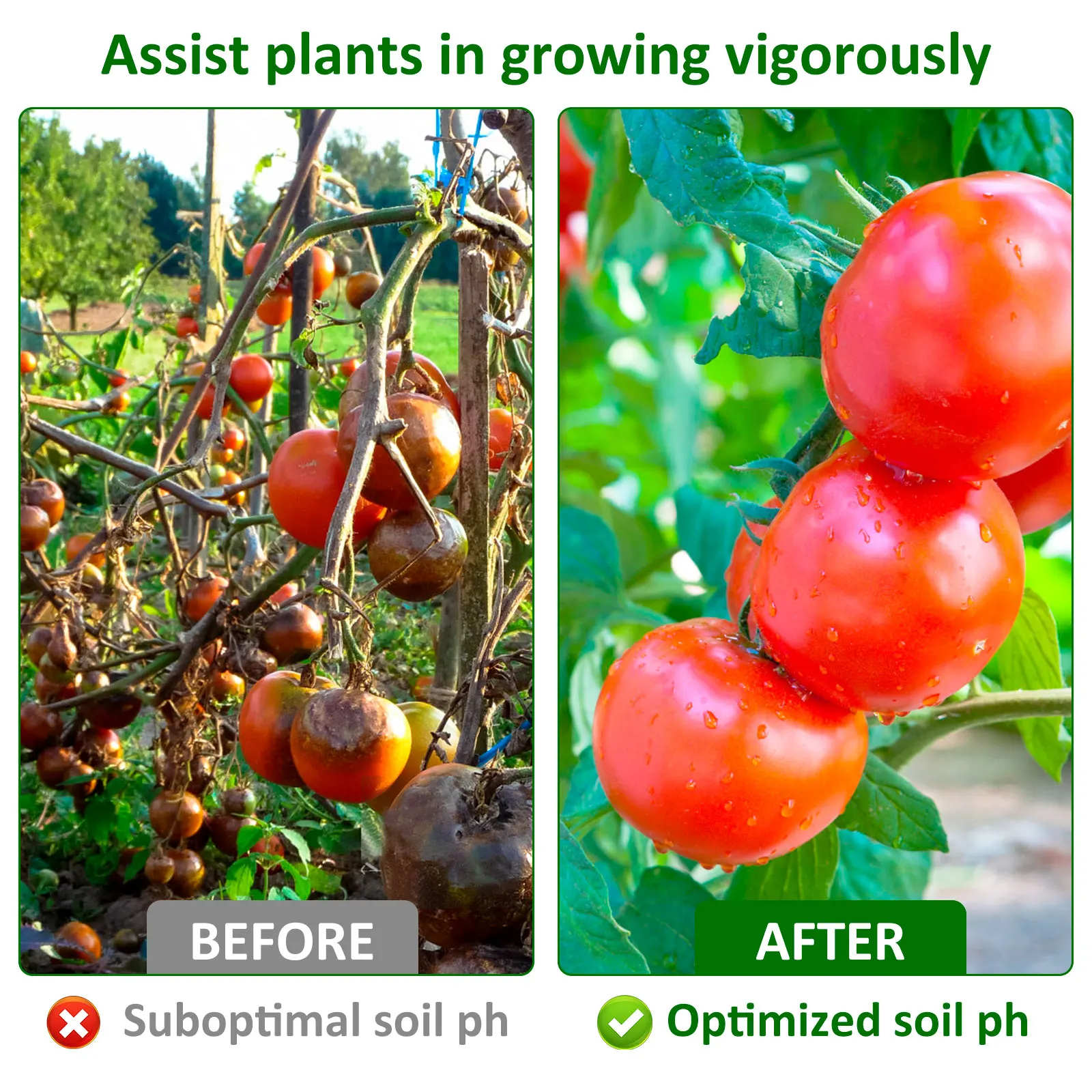 Soil pH Test Strips for Gardening and Lawn Care