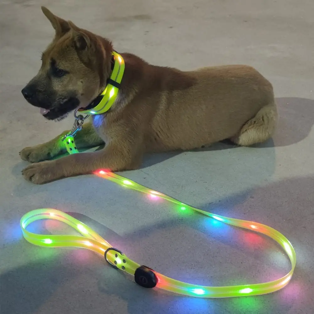 Pet Dog Led Light Up Guinzaglio Usb Ricaricabile In Pvc Con Fettuccia Incandescente Guinzaglio Per Animali Domestici Light Up Puppy Dog Night Walking 