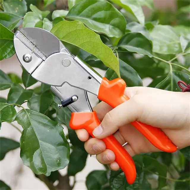 Kerti Prunin Secateurs Metsző Olló Olló, Gyümölcsfák, Vastag Ágak, Virág Erőteljes Metszés - Image 2