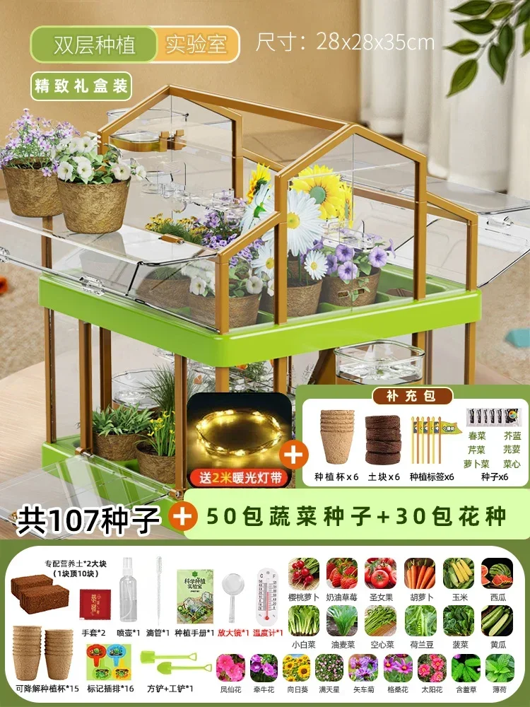 منزل زراعة أشعة الشمس للأطفال تجربة علمية صندوق مر...