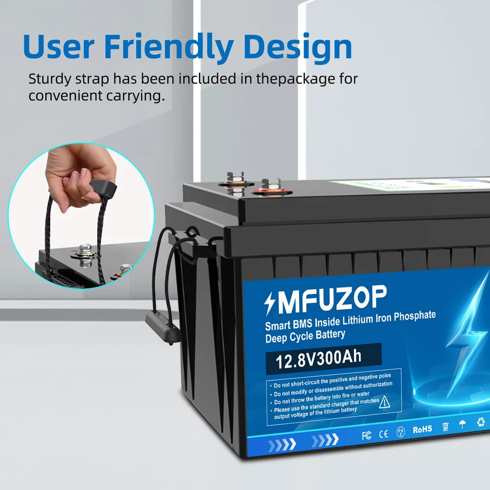 値下げしました！ MFUZOP LiFePO4バッテリー 12V 100Ah Amazon.com: MFUZOP 12V 100Ah BCI Group 24 LiFePO4 Battery