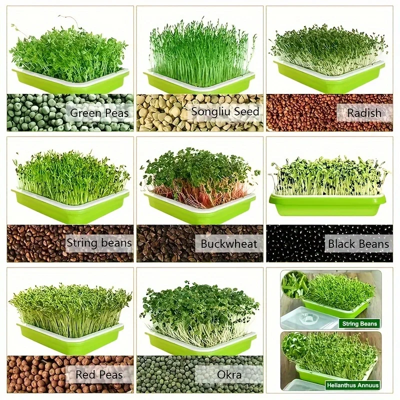 1 Pcs Germination Tray Plant Seeds Pot Garden Double Layer Soilless Hydroponics Growing Seedling Pots Gardening Accessories