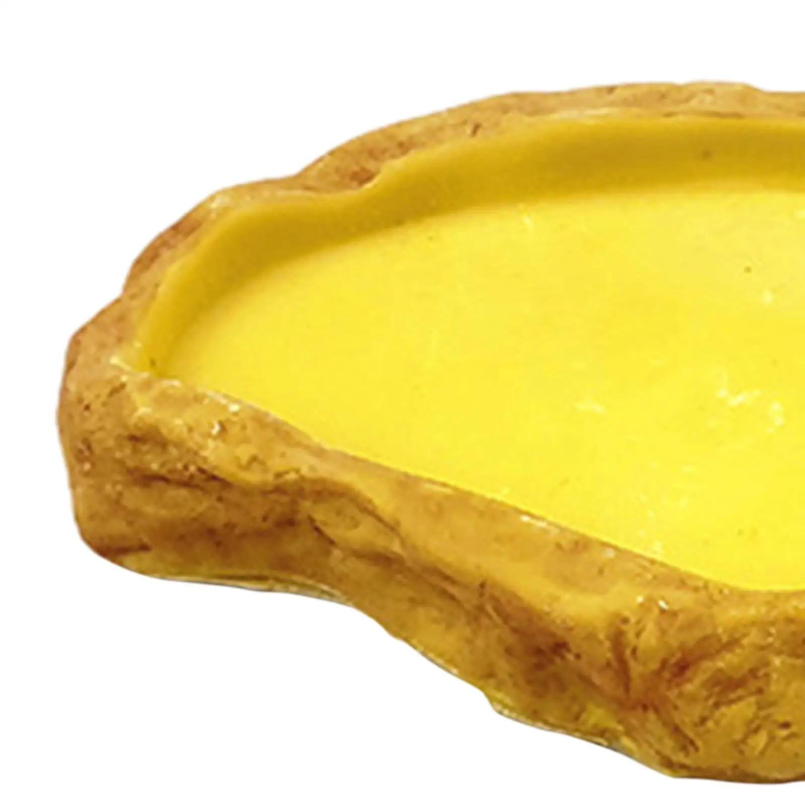 Reptile Water Bowl Resin Terrarium Water Dish Feeding Bowl Reptile Feeder for