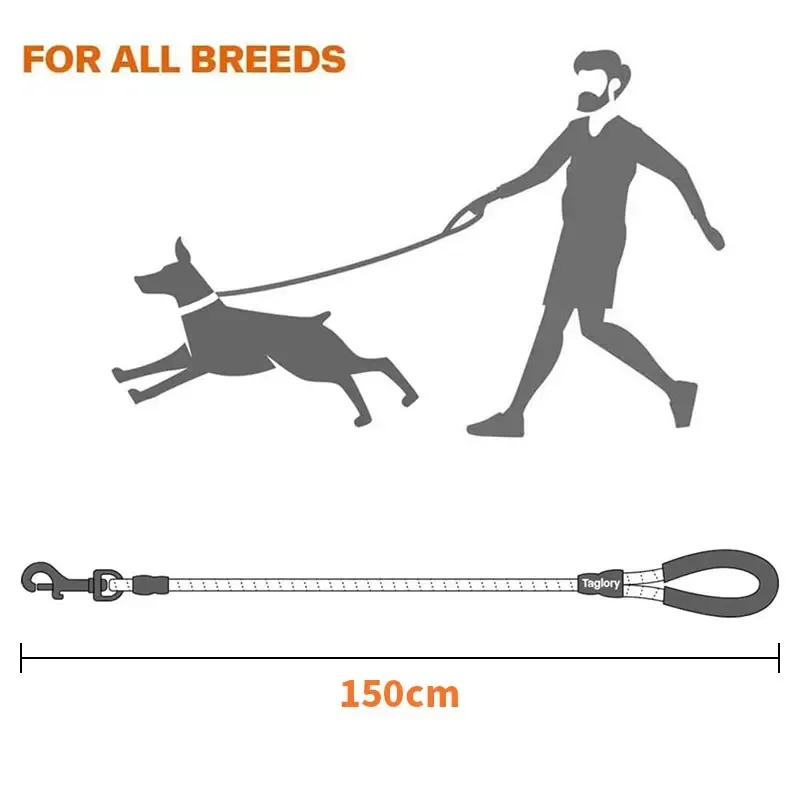 Reflective Dog Leash 2