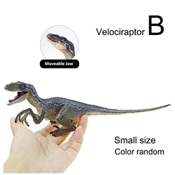 Realistic Velociraptor Dinosaur Toy with Movable Features for Kids and Dinosaur Enthusiasts (Model)