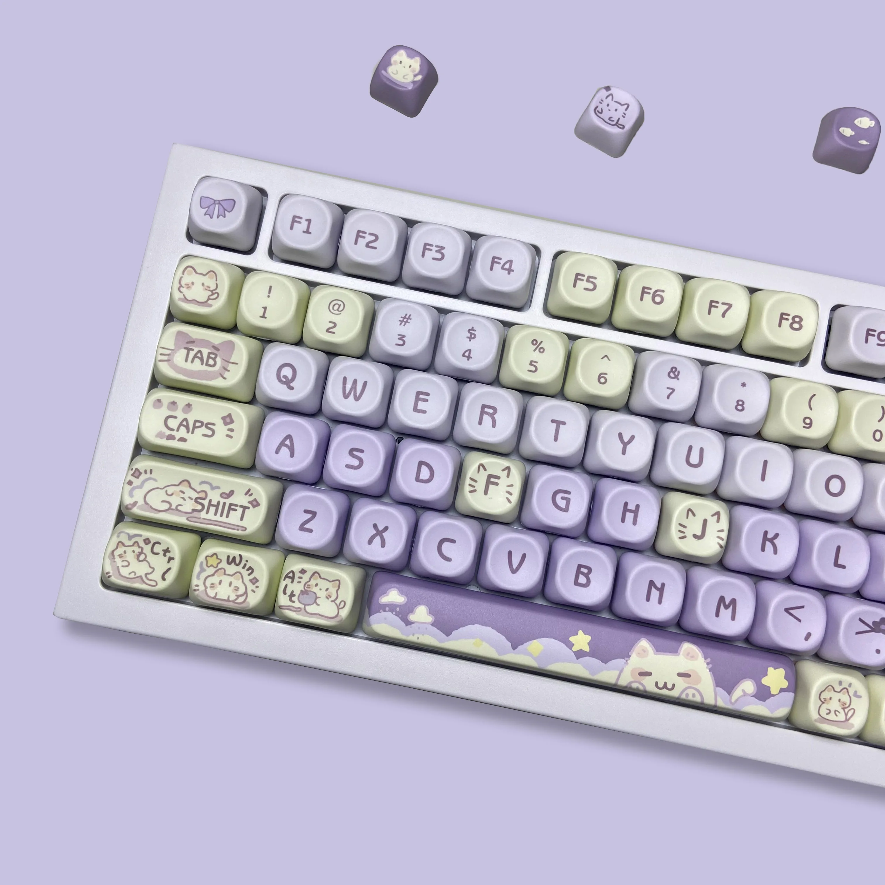 dsc-products