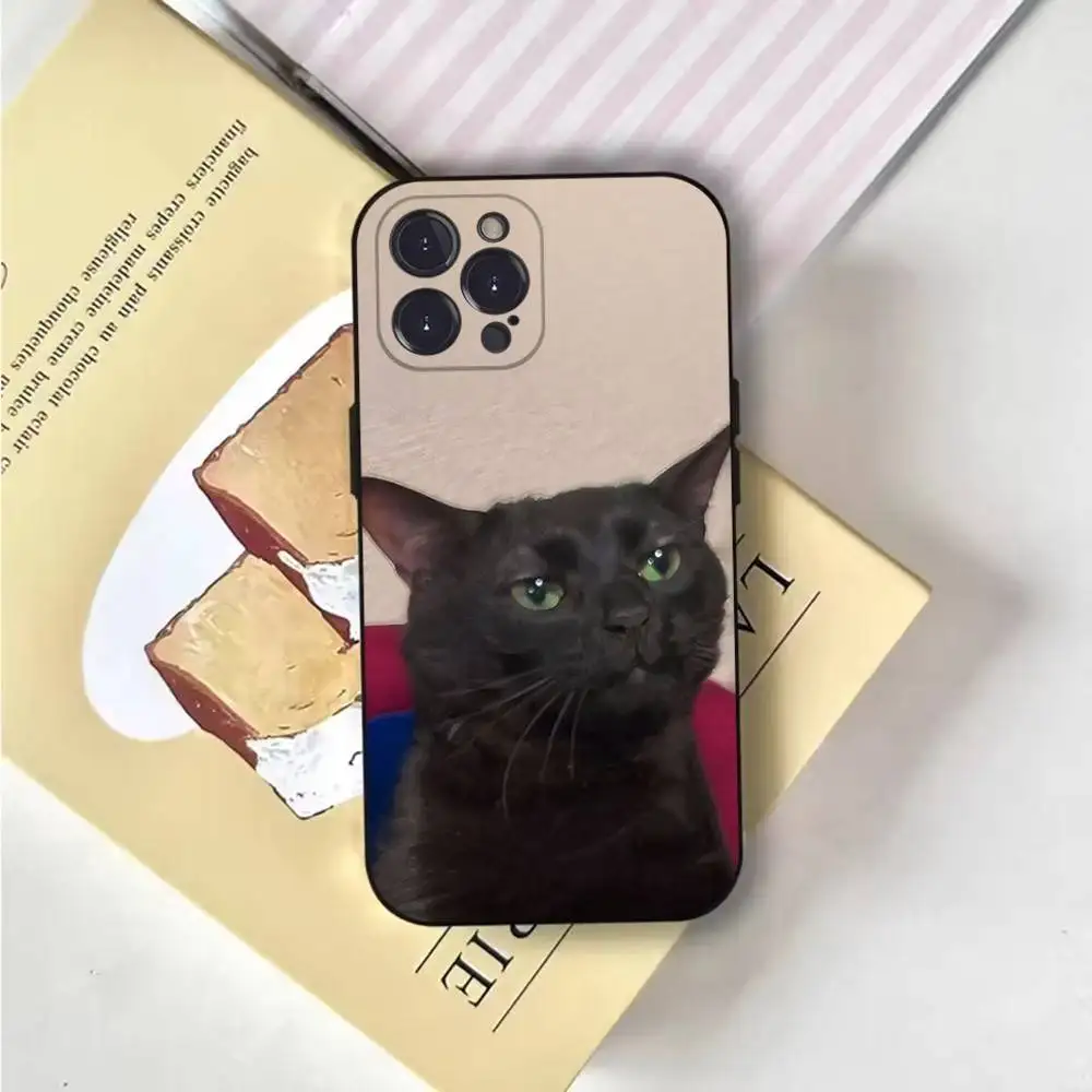Funny Animal Cat Phone Case For iPhone 17 16 15 11 12 thumbnail 6