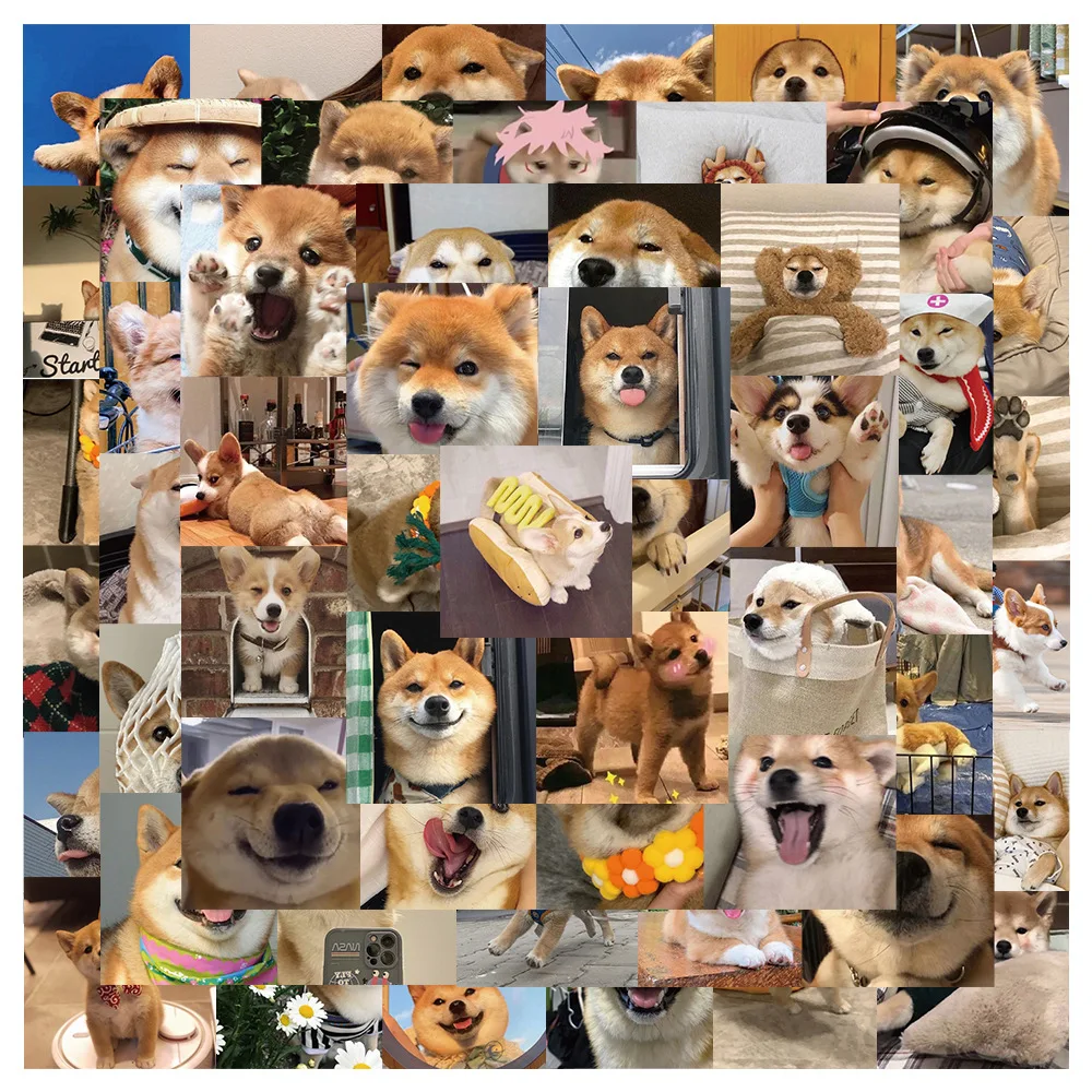 10/30/55PCS Cute Animal Corgi Shiba Inu Graffiti Stickers Travel Skateboard Suitcase Guitar Luggage Laptop Funny Sticker Decals