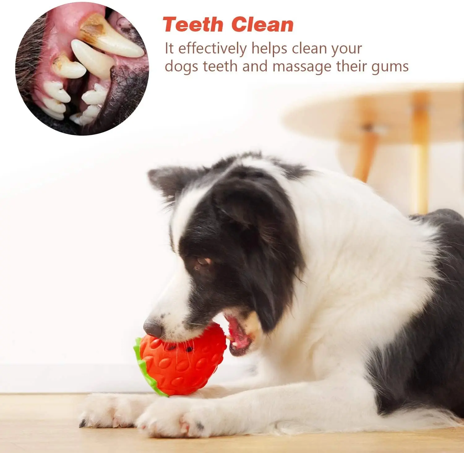 https://ae01.alicdn.com/kf/S6555544e024643c8a09c053a7b57e4dd3/Dog-Puzzle-Toys-Rubber-Dog-Chew-Toys-Treat-Food-Dispensing-Toys-for-Teeth-Cleaning-IQ-Treat.jpg