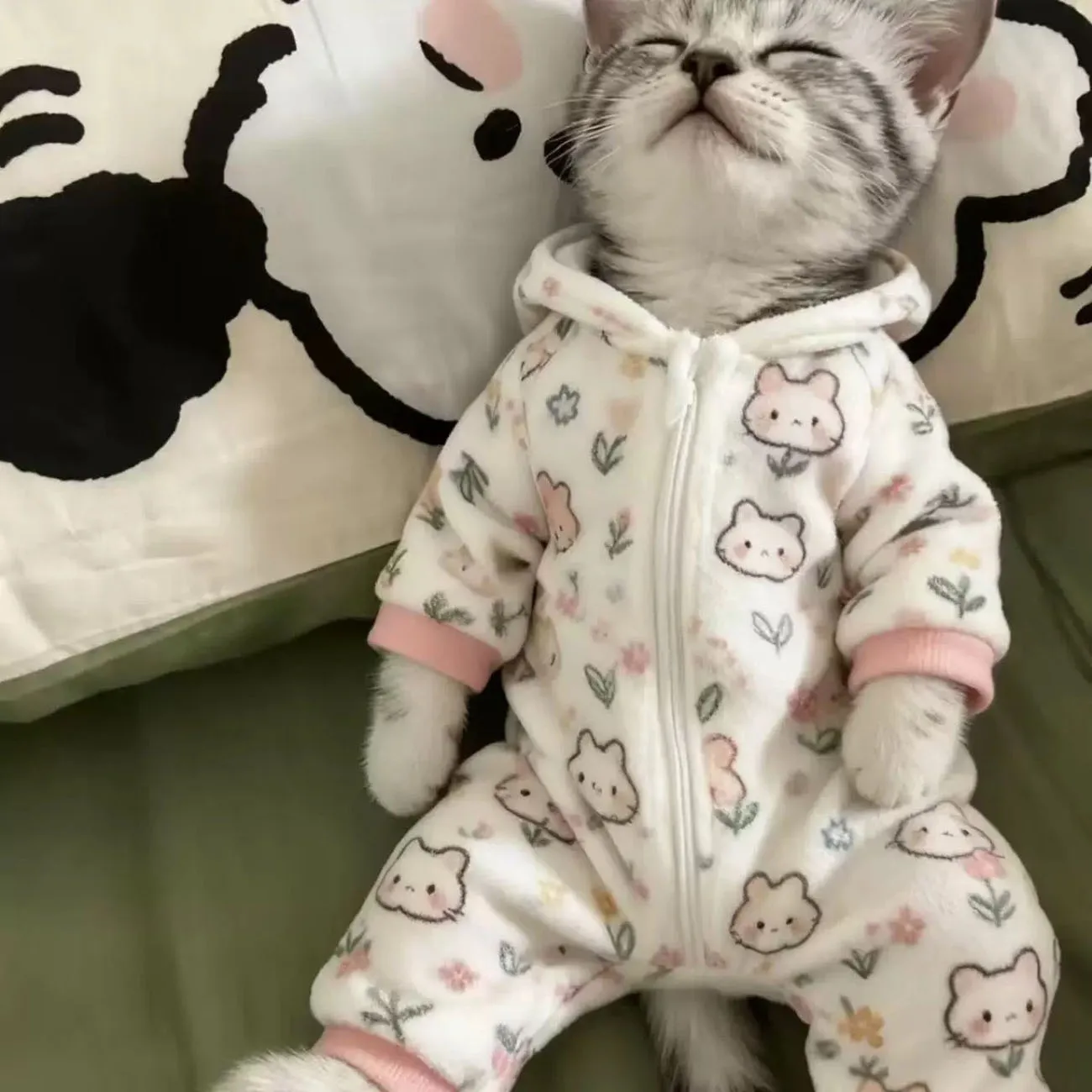 고양이 귀여운 따뜻한 잠옷 고양이 새 집 편안한 네발 스타일