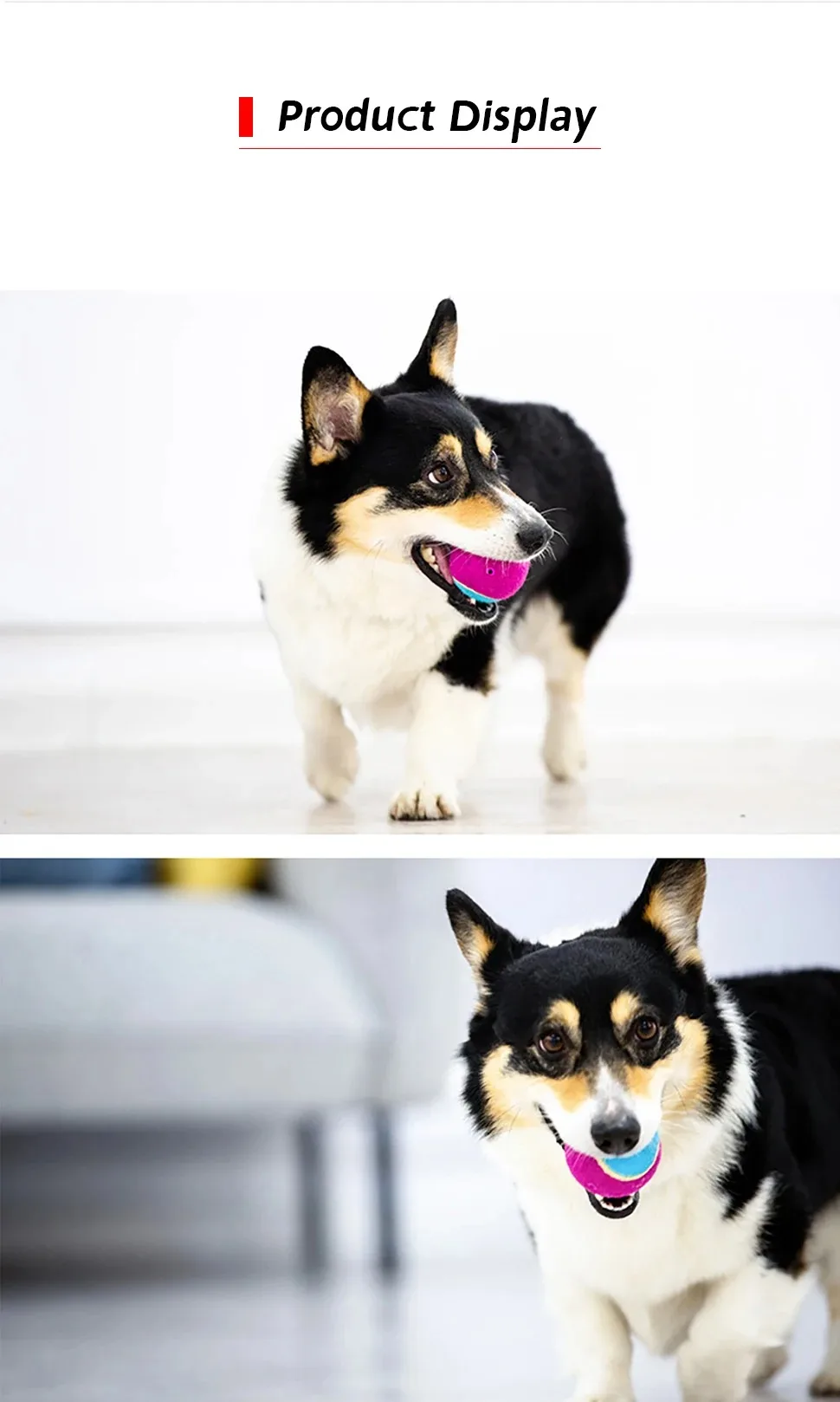 S65567a56a81d4fffb9e4571a45bd01b4u