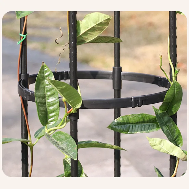 Traliccio A Spirale Per Piante Rampicanti - Obelisco In Metalto Per Rose, Pomodori E Fiori Da Giardino O Balcone - Foto 6