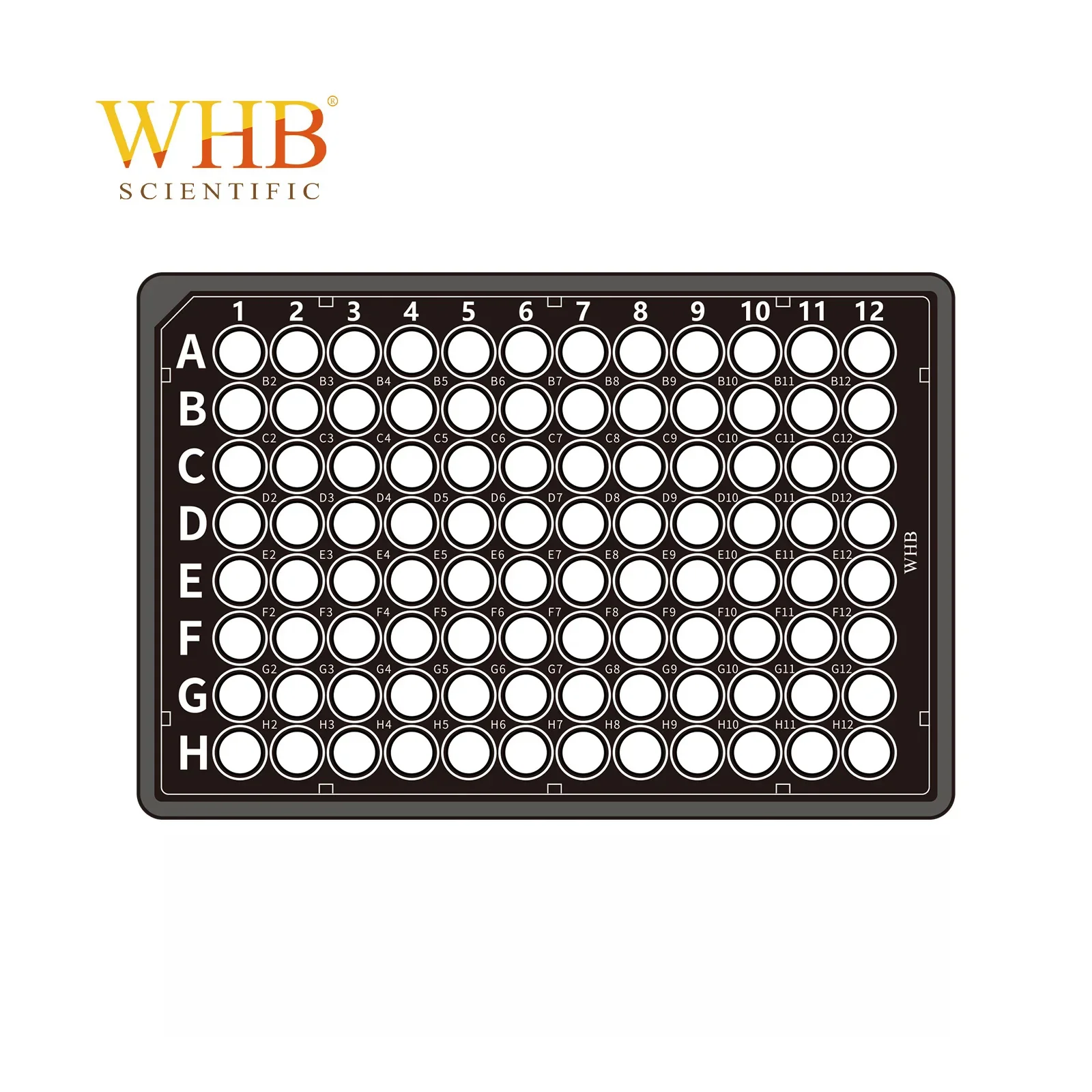 96 Wells Cell Culture Plate Black Transparent Bottom Plastic Sterile Adhesion Treated Petri Dishes For Bio Lab Experiment Tools