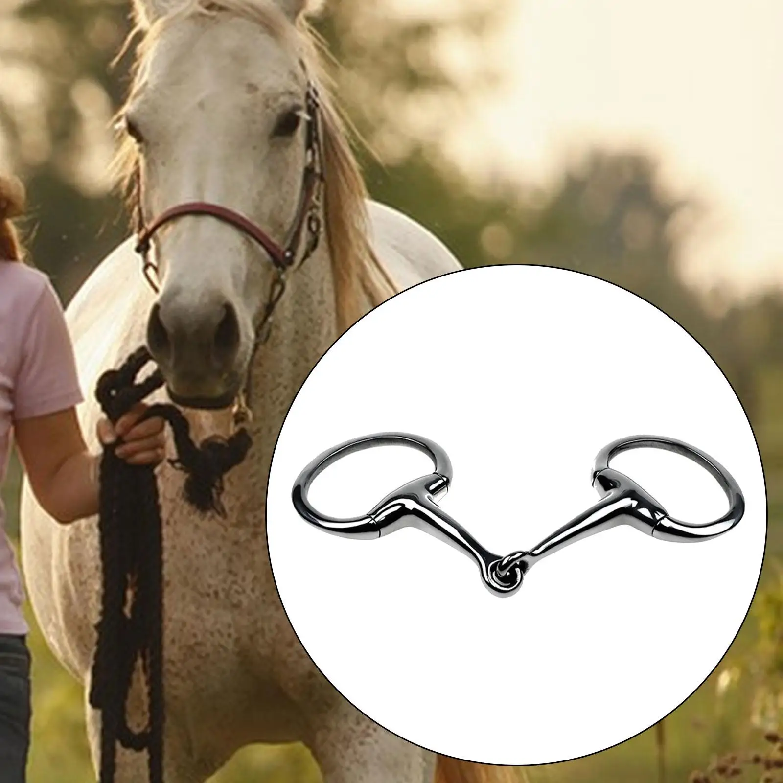 Stainless Steel Horse Snaffle, Bit Tack, Training Bit, Portable,with Rings,Horse Mouth Bit,Horse Chewing Snaffle for Outdoor 4