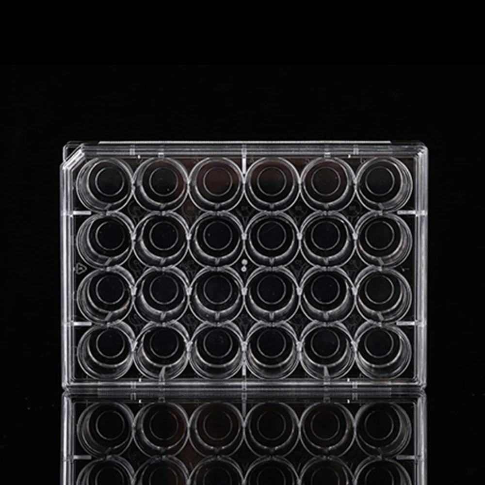 6 Well 24Wells Glass Bottom Cell Culture Plate 1/Pk