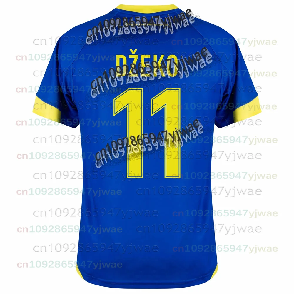 2026 Bosnia And Herzegovina Men's Sports Jersey Crew Neck T-shirt Quick Dry Breathable Football Training Sportswear Child Tops, view 4