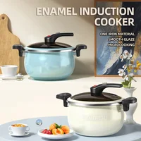 6.5L Household Micro Pressure Stew Pot Low Pressure Pot Induction Cooker Gas Universal Kitchen Soup Cookware 1