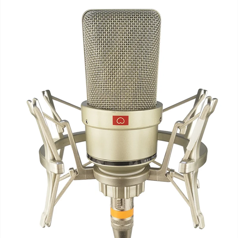 Metal Professional Condenser Microphone Large Diaphragm Studio Microphone For Computer Gaming Recording Singing Podcast YouTube