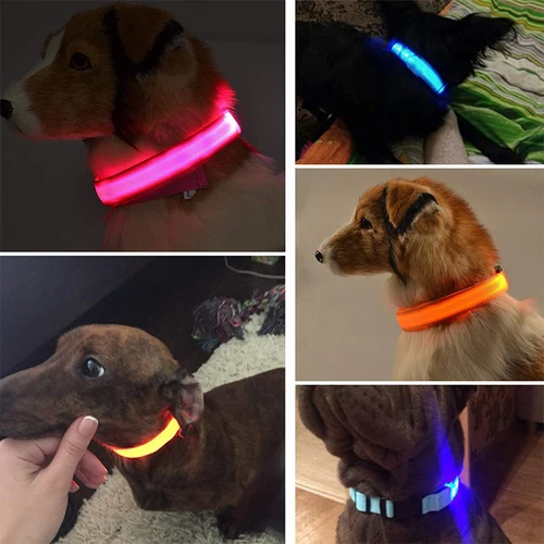 LED 발광 개 목걸이, 충전식 방수 야광 목걸이, 조정 가능한 개 야간 조명 목걸이, 애완견 안전 목걸이 5