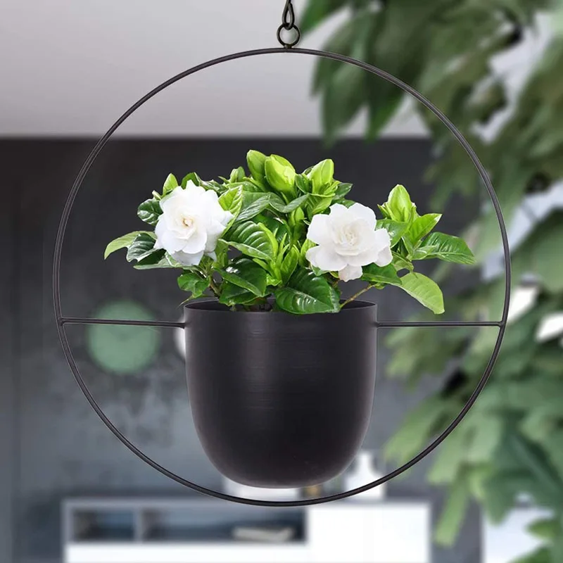 

Iron Hanging Baskets for Epiphyllum Water Cultivation and Home Decoration: European Style Balcony Hanging Planters