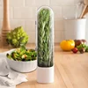 Herb Saver Storage Container Fresh Herb Keeper Vanilla Vegetables Fresh Preservation Bottle for Refrigerator Kitchen Gadgets 2