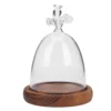 Angel Glass Cover Tabletop Display Case Bell Jar Eternal Flower Vase Gift Packaging Dome with Wood Base Landscape Plants 1