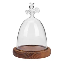 Angel Glass Cover Tabletop Display Case Bell Jar Eternal Flower Vase Gift Packaging Dome with Wood Base Landscape Plants 1