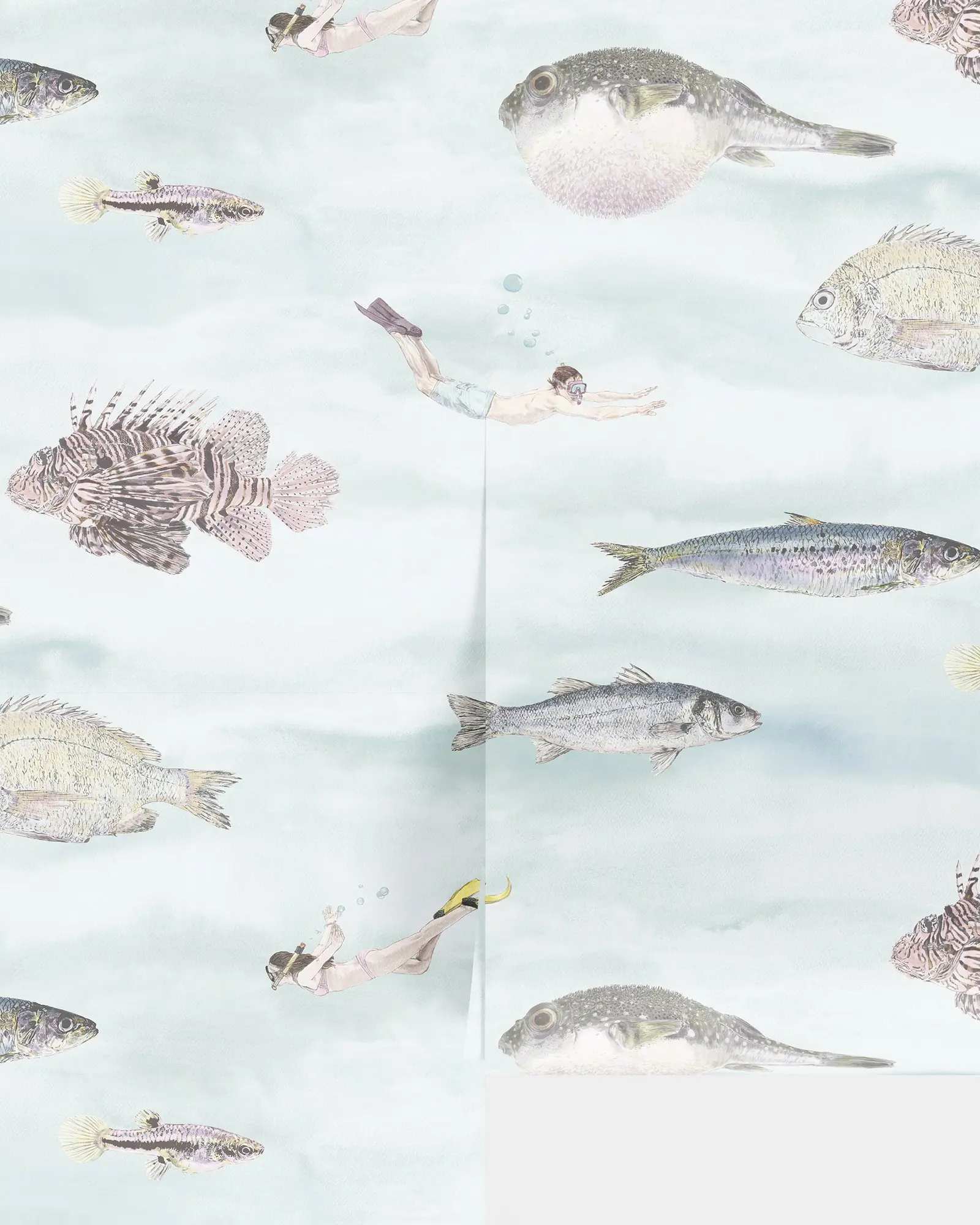 fundo peixaria: O Papel de Parede de Peixes que Transformou o Quarto do Meu  Filho em um Mundo Subaquático Realista, image size:1600x2000