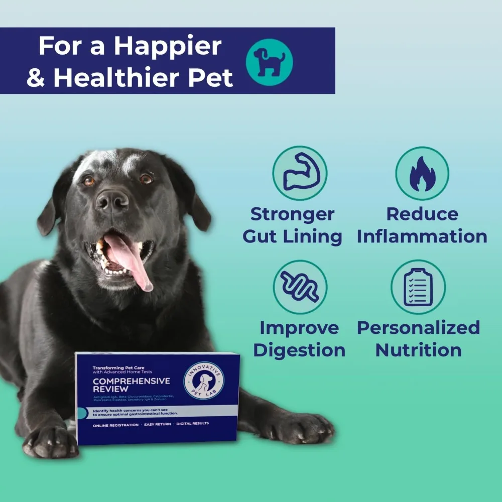 Comprehensive Review at Home Test Kit for Dog Digestive Health Allergy Causes Gut Microbiome Symptoms Evaluation Expert