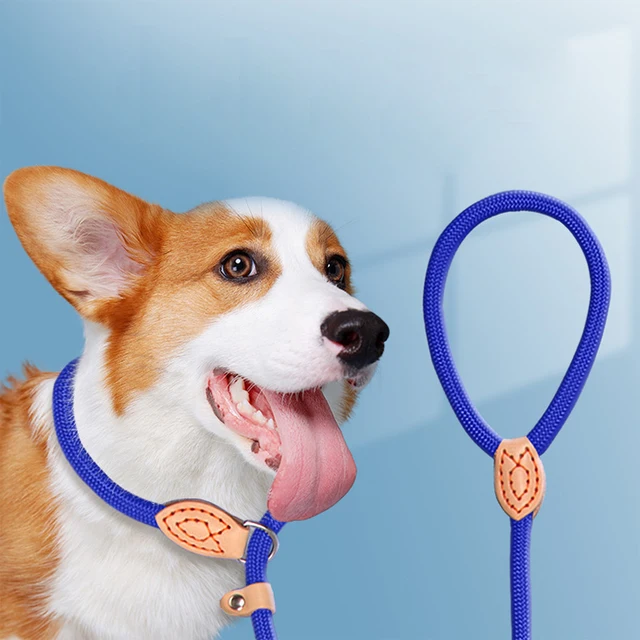 Rope Collar Leash 3