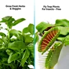 Indoor Hydroponic System with 4000K Grow Lights