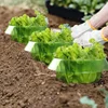 Plants Snail Protection Rings Vegetable Green Planter Flower Pot Pest Control Trapper Repel Snails Garden Protects Animal Tool 4
