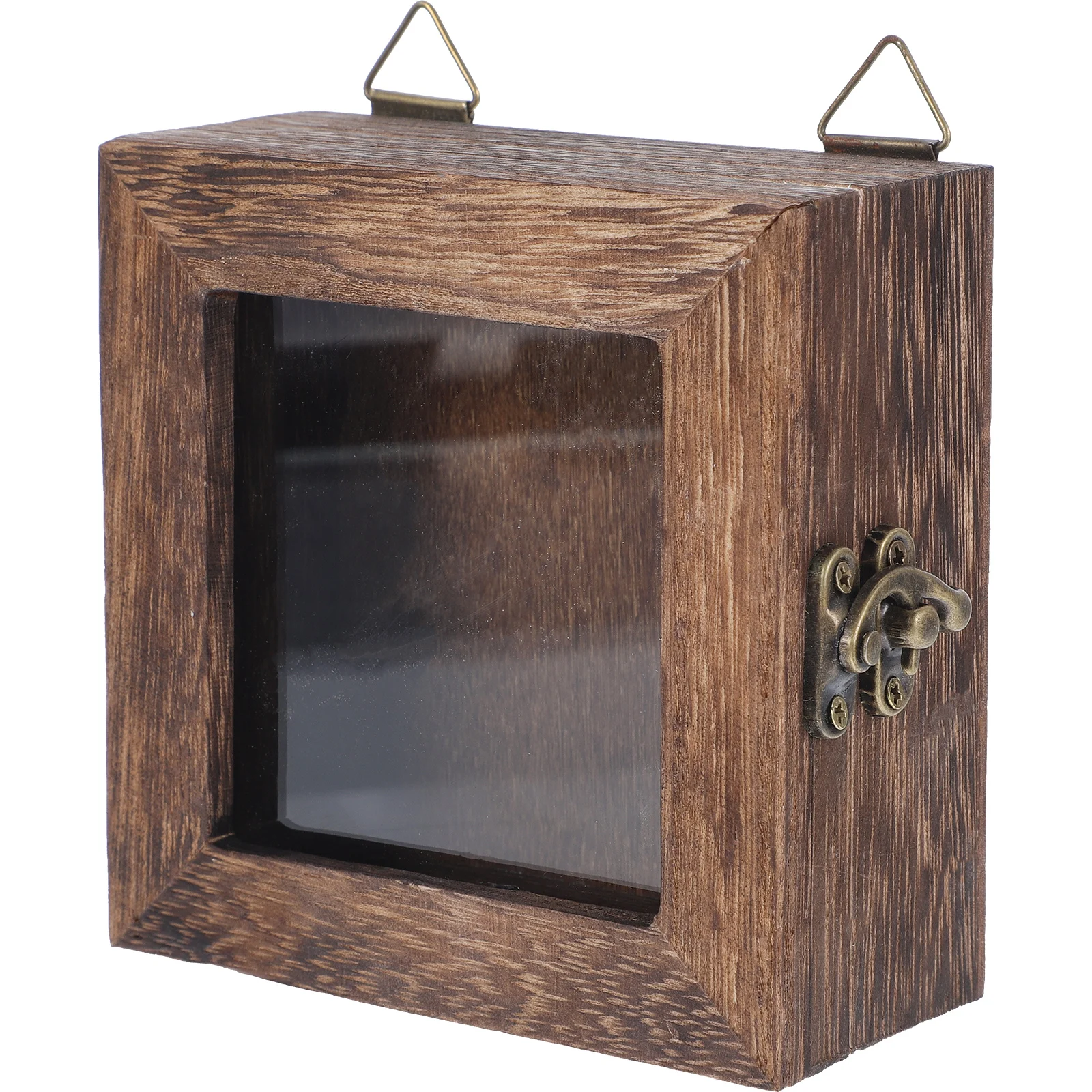 Butterfly Insect Box Insect Display Box Specimen Case Household Collection Frame Collectors ...