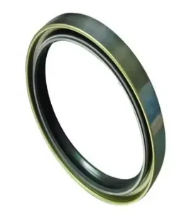 Mechanical Oil Seal AP2861F AP3220F AP1336E AP2083F AP2861G BP3054F AP1336F BP3590E AP3053E BP3054G AP1706F BP3590F