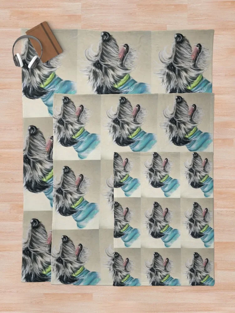 ScruffyLurcher ���� ���� ������ ���, �����ϰ� ǫ���� ķ�� ���