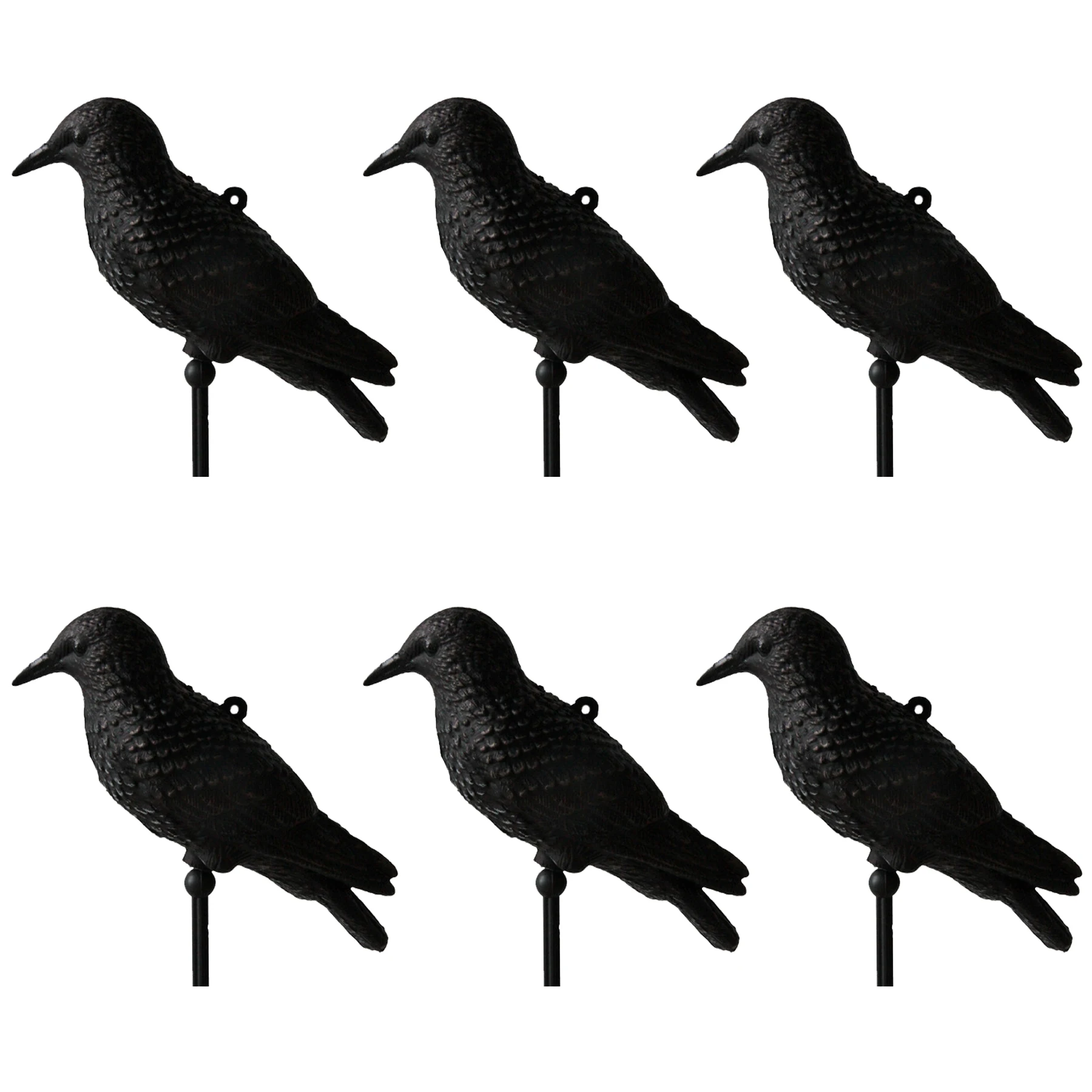 Leurres étourneaux chasse GUGULUZA 3D oiseaux plastique sans ailes réalistes accessoires extérieur